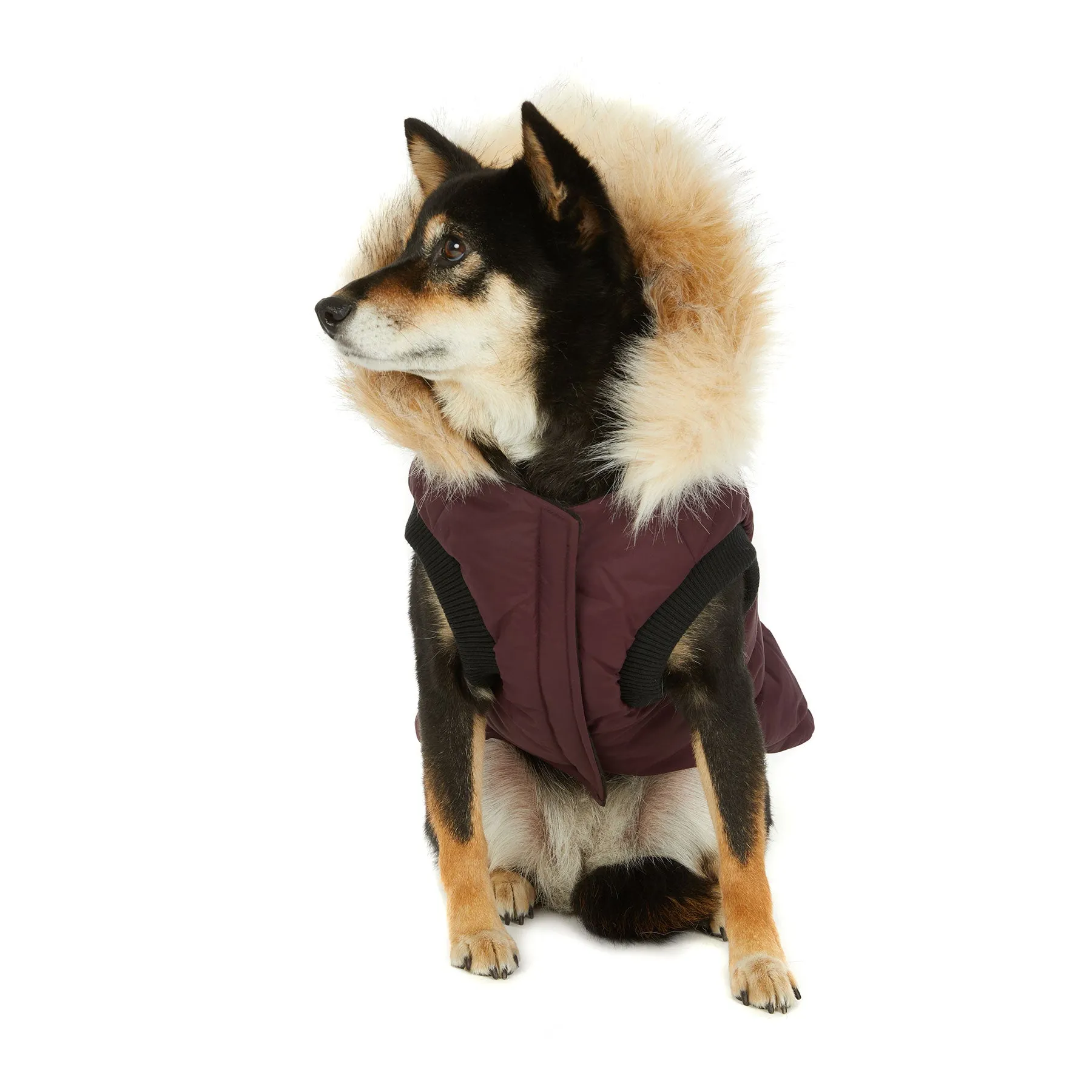 Toby Jacket for Dogs